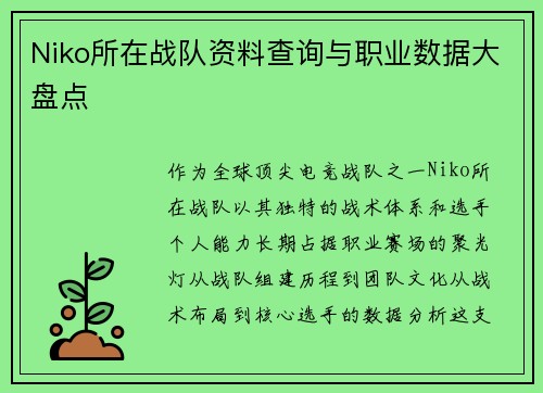 Niko所在战队资料查询与职业数据大盘点